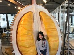 -都念榴莲·城市榴莲