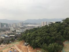 -金鸡山公园