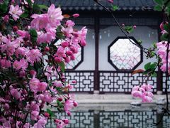 -莫愁湖公园