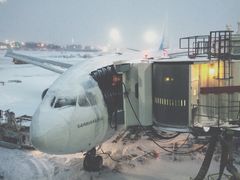 -约翰·菲茨杰拉德·肯尼迪国际机场