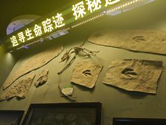 -诸城市恐龙博物馆