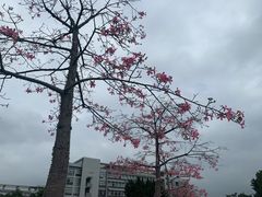 -华南师范大学(广州大学城校区)