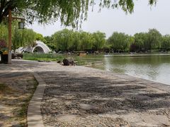 -洛阳市隋唐城遗址植物园