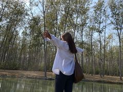 -合肥滨湖国家森林公园