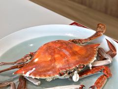 -阿毛饭店·正宗宁波菜(儿童公园旗舰店)