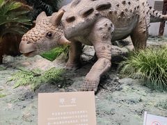 -辽宁古生物博物馆