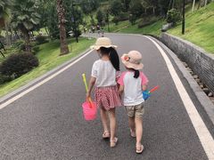 -枫香湖儿童公园