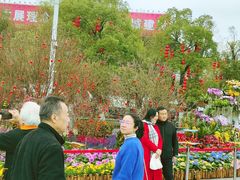 -天河体育中心