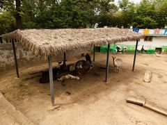 -西安秦岭野生动物园