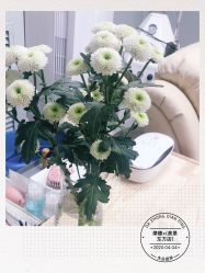 -摩睫+皮肤管理·科学美容中心