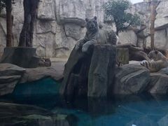 -灵玲国际马戏城