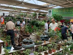 -秦美花卉(天朗·莱茵小城2期店)