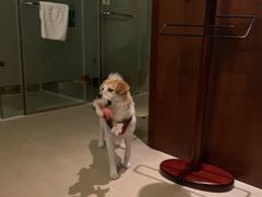-中铁花水湾温泉酒店(大邑店)