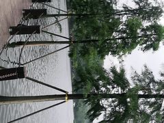 -重庆彩云湖湿地公园