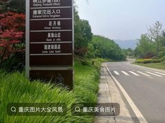 -铁山坪森林公园