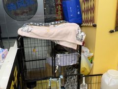 -谜盒子奇幻密室(南屏店)
