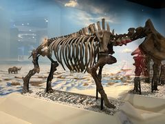 -国家自然博物馆