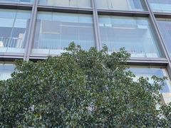 -苏州香格里拉大酒店