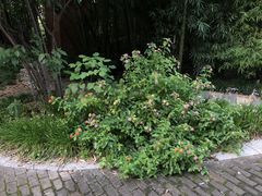 -苏州河梦清园环保主题公园