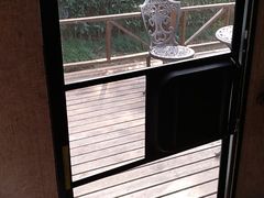 -崇明东平国家森林公园烧烤房车露营地