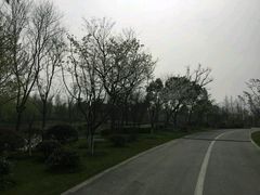 -尚贤河湿地