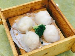 嘉禧虾饺皇-嘉禧大酒楼(康城广场店)