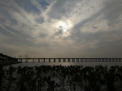 -宝安西湾红树林湿地公园