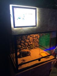 -未来动物城动物主题公园(大悦城店)