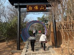 -白佛山景区