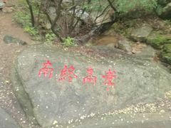 -王顺山国家森林公园