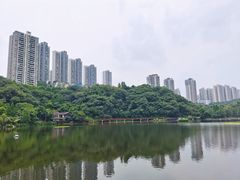 -重庆彩云湖湿地公园