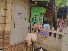 -昆明动物园