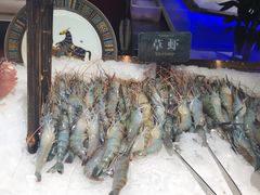 -加餐海鲜自助(宝龙一城店)