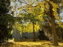 -元大都城垣遗址公园