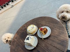 -AHAVA·Fang Baking Studio