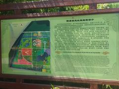 -洛阳市隋唐城遗址植物园