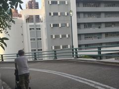 -香港大学