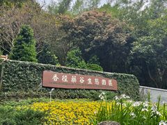 -石排湾郊野公园