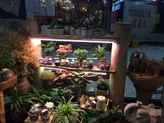 -十二舍·湯物素煮(江泰潤政店)