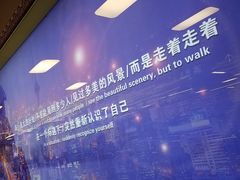 -宽口美蛙鱼头(大唐西市店)