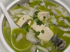豆花儿鲈鱼-湖鱼湖·蓉亭食贝(亚运村店)