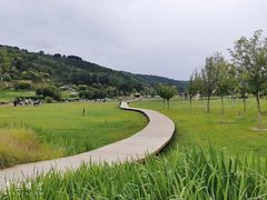 -南泥湾风景区