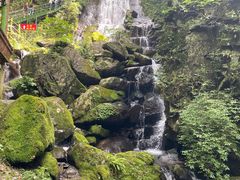 -藏龙百瀑风景区