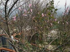 -紫金山索道-售票处