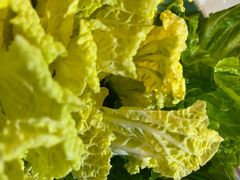 -探窝·竹笙椰子鸡(杨箕店)