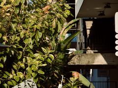 -海峡创意产业园