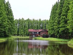 -黄海国家森林公园