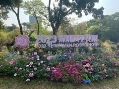 -人民公园(罗湖区)