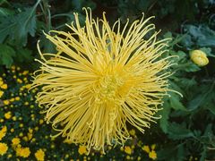 -上海市龙华烈士陵园