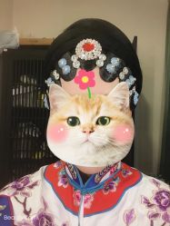 -盘子女人坊古装写真摄影(天津总店)